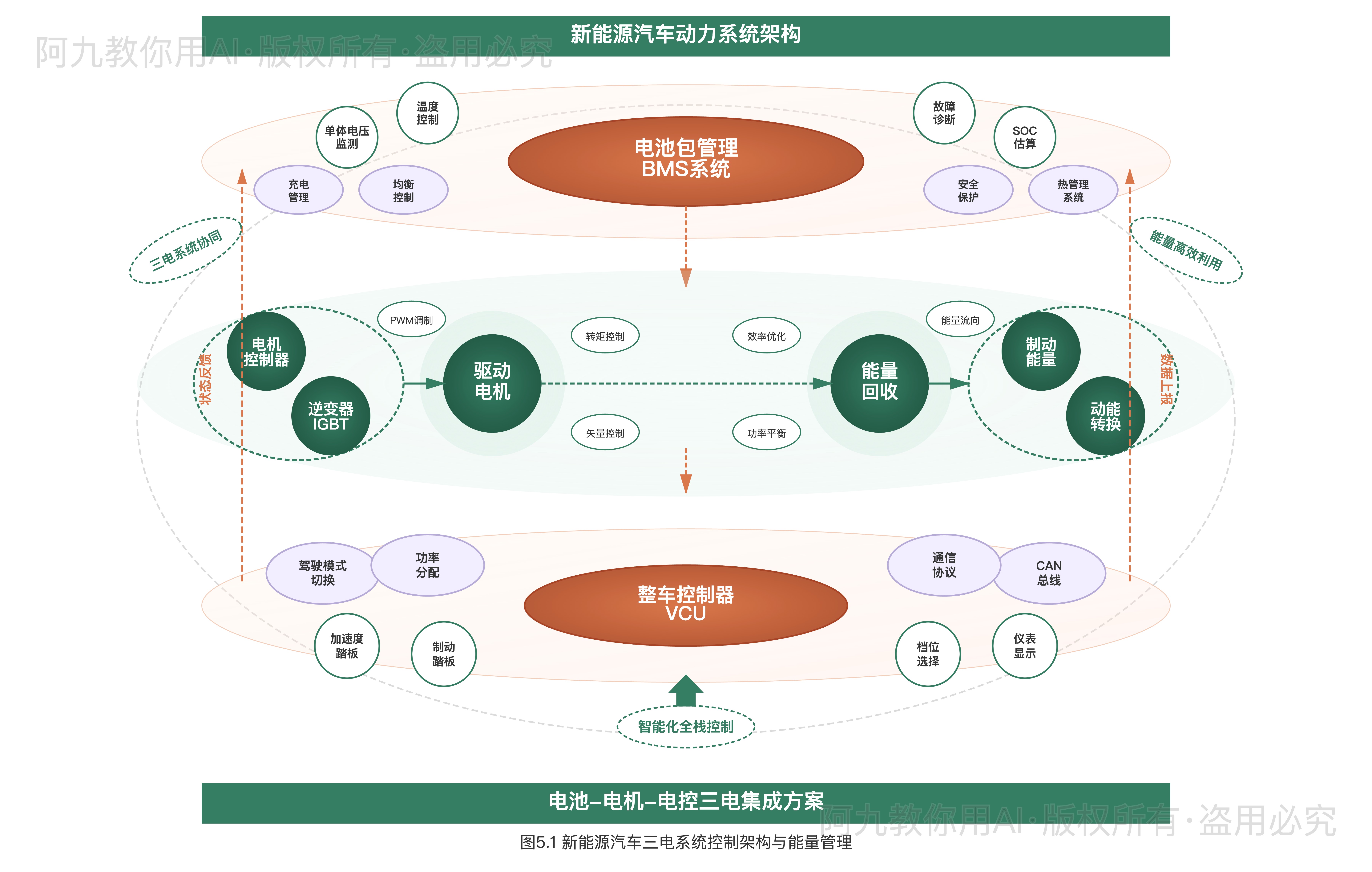 模板预览