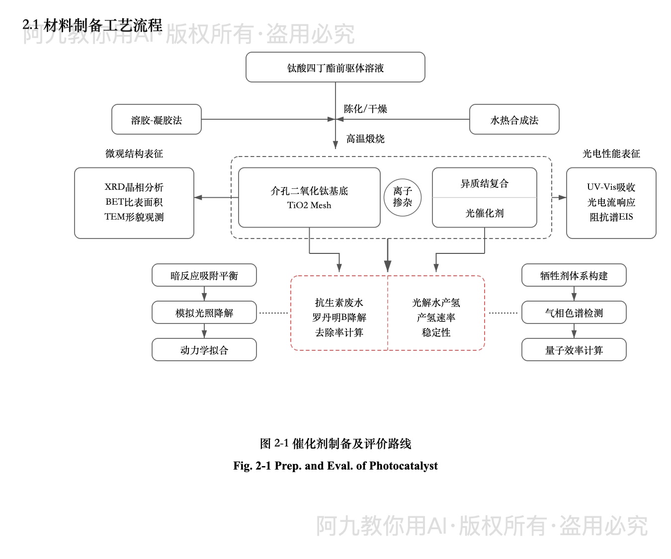 模板预览