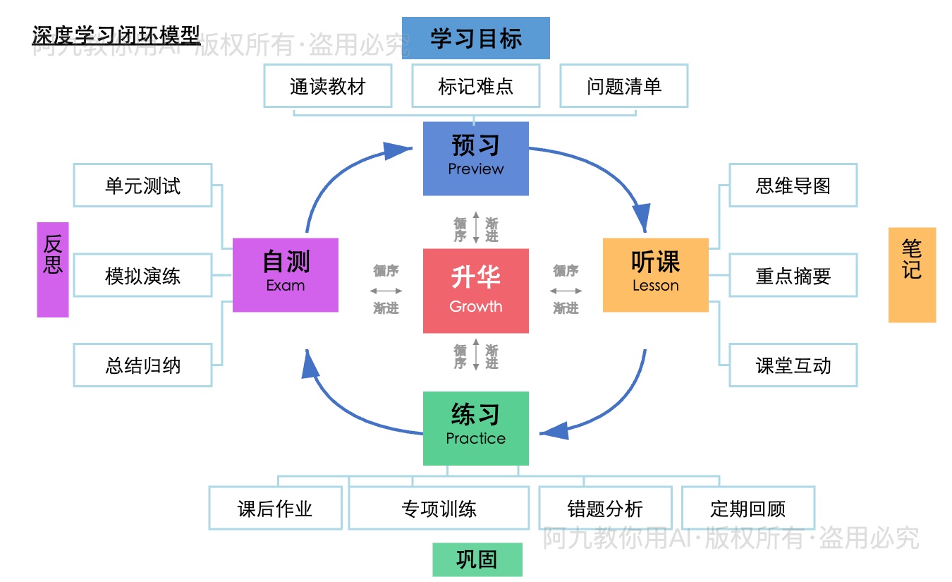模板预览